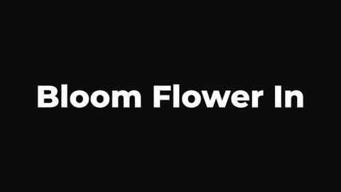 Bloom Flower In — After Effects curves and spins preset preview