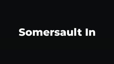 Somersault In — After Effects curves and spins preset preview