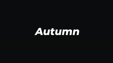 Autumn — After Effects organic preset preview