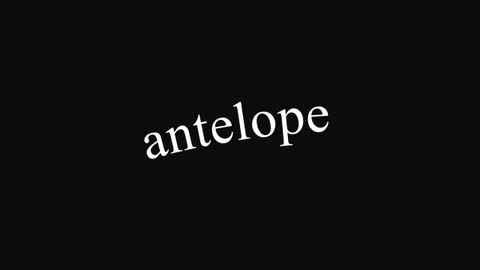 Antelope — After Effects paths preset preview